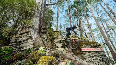 Rónán Dunne takes the downhill MTB crown in the jungle at Red Bull.